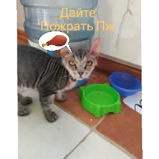 Sticker 🥺 Стики тут