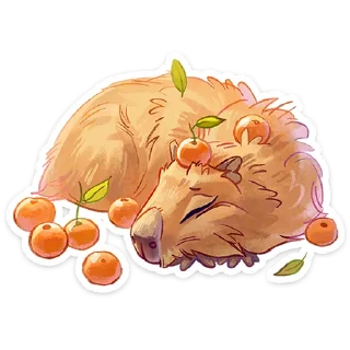 Sticker 😴 Карбонара от @TgSticker