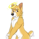 Video sticker 😇 Duke Corgi