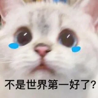 Video sticker 🥲 狗爷社区明灯专用贴图