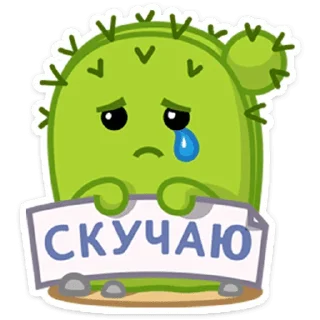 Sticker 🌵 Кактус Коля @tgsticker