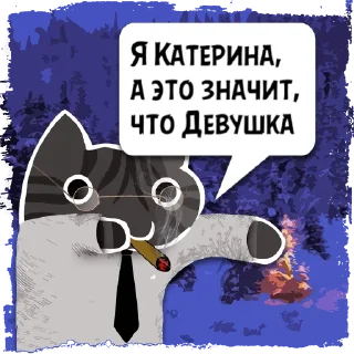 Sticker 😼 Цитаты Катерина из @KotecBot