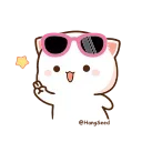 Video sticker 😉 Cutie cat by @singh_021