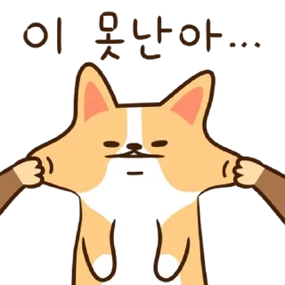 Video sticker 💬 급하개? 바쁘개? 좋개? By @KakaoEmoticon