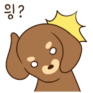 Video sticker 💬 급하개? 바쁘개? 좋개? By @KakaoEmoticon