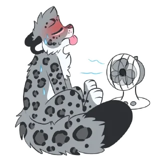 Video sticker 🔥 Sneps