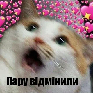 Sticker 🥳 юзлесний юрист КНУ