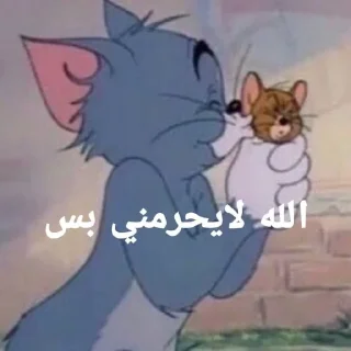 Sticker ❤️ ملكه الرياكشن