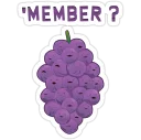 Video sticker ❓ Member Berries