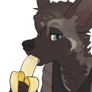 Video sticker 🍌 Maji