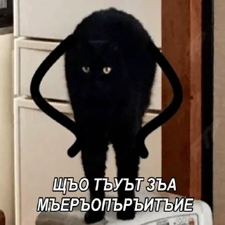 Sticker 😑 Шутки за 299