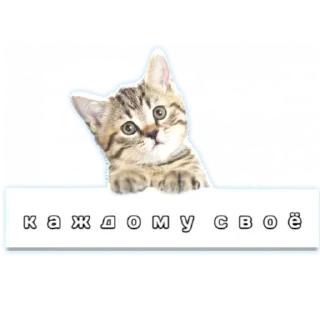 Sticker 💬 Каждому Своё ТЕМА