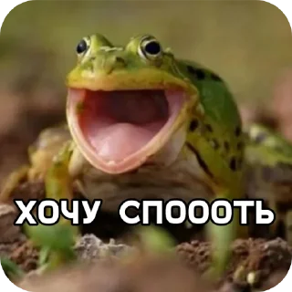 Sticker 🐸 Лягуш пак @GordonFreeman_pon