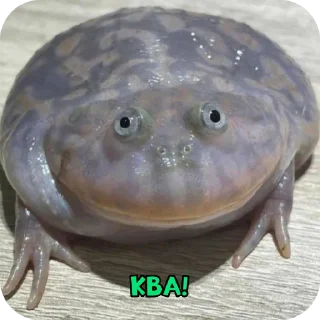 Sticker 🐸 Лягуш пак @GordonFreeman_pon