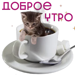 Video sticker 😊 @otkryt_o4ka от агентства Новые Новые Медиа