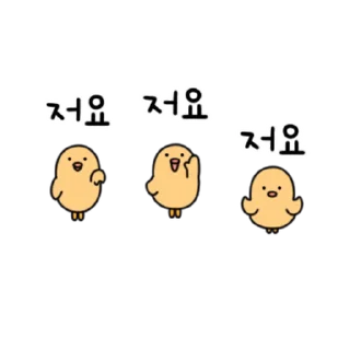 Video sticker 💬 작고 작은 병아리 삐유 By @KakaoEmoticon