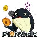 Video sticker 👎 PoorWhale