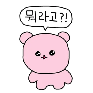 Video sticker 💬 단지와 고심이, 요즘 뭐해? By @KakaoEmoticon