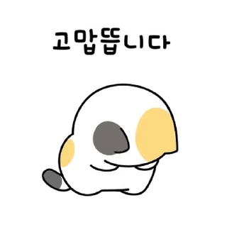 Video sticker 💬 냥모티콘 3 By @KakaoEmoticon