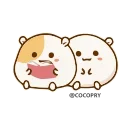 Video sticker 😘 Hamster Bean 🐹 @cocopry