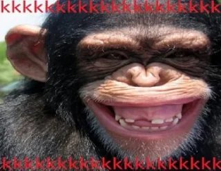 Sticker 😂 macacos rindo @baudopaia