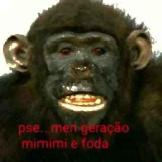 Sticker 😂 macacos rindo @baudopaia