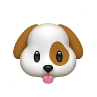 Video sticker 🐶 NewlearnerのStickers