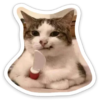 Sticker 😈 КотАпокалипсис