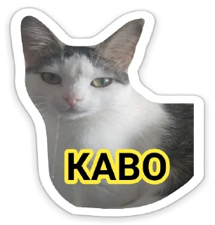 Sticker 😾 КотАпокалипсис