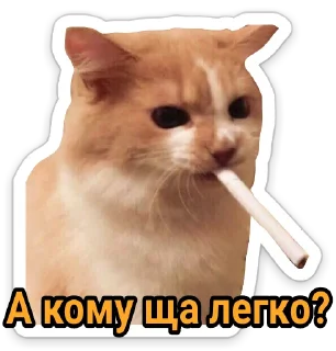 Sticker 😒 КотАпокалипсис