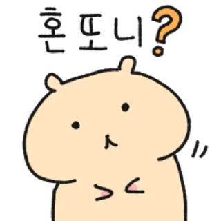 Sticker 😀 일본어 공부중인 하무스타 2