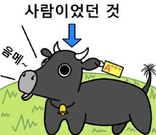 Sticker ⭐ Korean Black Cow 2 @moe_sticker_bot