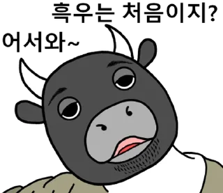 Sticker ⭐ Korean Black Cow 2 @moe_sticker_bot