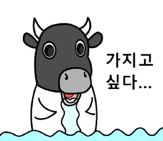 Sticker ⭐ Korean Black Cow 2 @moe_sticker_bot