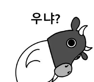 Sticker ⭐ Korean Black Cow 2 @moe_sticker_bot