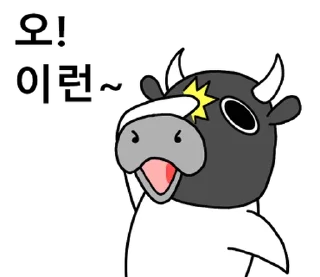 Sticker ⭐ Korean Black Cow 2 @moe_sticker_bot