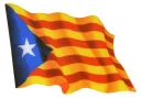 Video sticker ⭐ Català