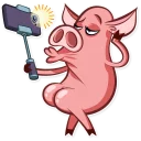 Sticker 📷 Pete The Pig