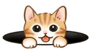 Sticker 🐱 cute kitties | @cutestickers4you