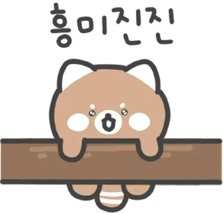 Sticker 💬 레삐는 숲속의 작은 레서 판다 By @KakaoEmoticon