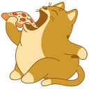 Sticker 🍕 Swift Teodor Cat @softwareports