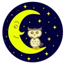 Sticker 🌜 Совушка