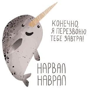 Video sticker 😐 lovely narwhal