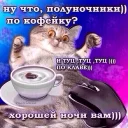 Video sticker 🌚 ВсратыеОдноклассники