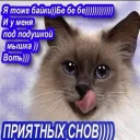 Sticker 💤 ВсратыеОдноклассники