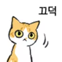 Sticker 🐱 냥장콘