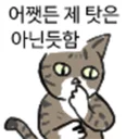 Sticker 🐱 냥장콘