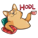 Sticker 💰 @MuchCryptoBot Doge