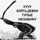 Sticker 🐵 тупые девки блин