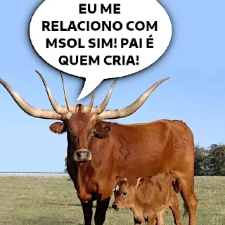 Video sticker 🐮 @redpillbrazil 👈🏻 ENTRE NO CANAL